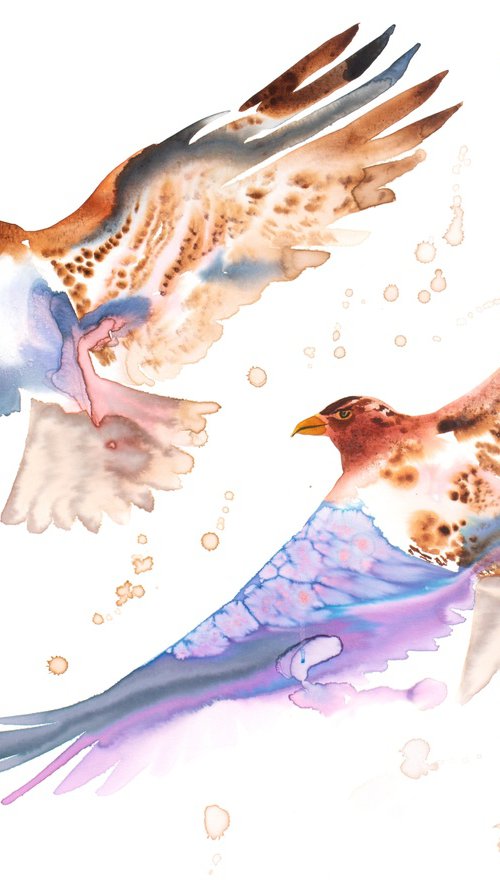 Hawks in Flight by Elizabeth Becker