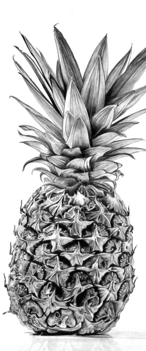 Pineapple by Paul Stowe