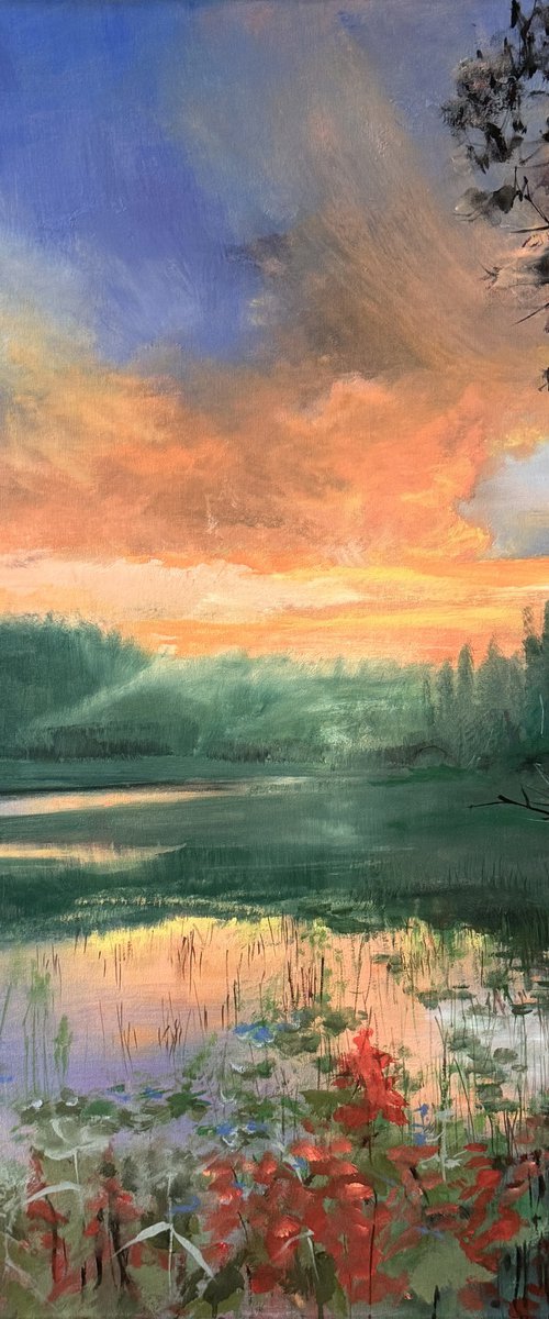The last Light by Evgenija Koch