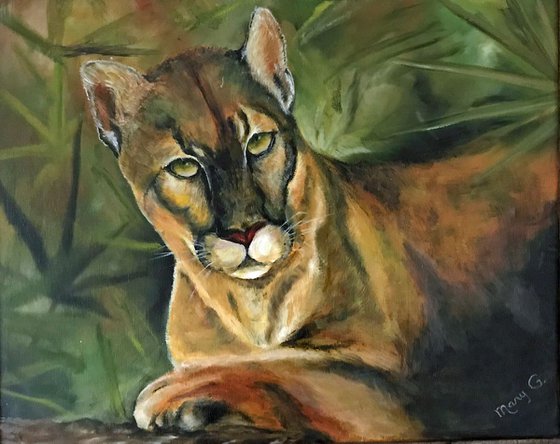 Puma Original Oil  Painting on a canvas Fully Framed 16x 20