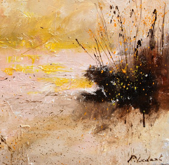 Splashes of the dawn