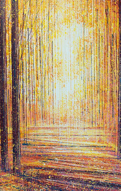 Tall Trees At sunset by Marc Todd