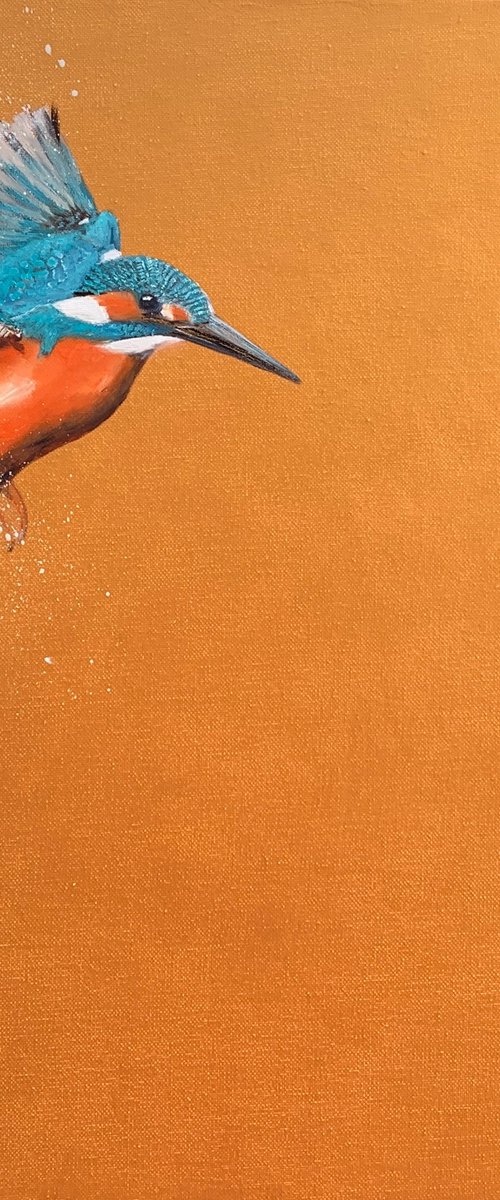 Flight Of The Kingfisher by Laure Bury
