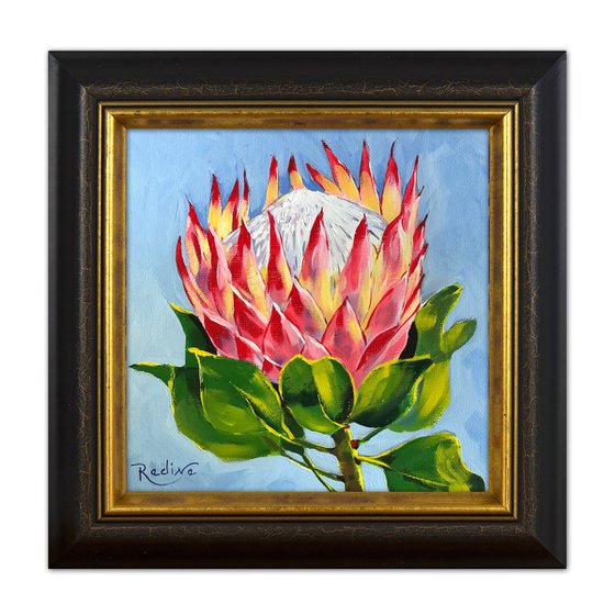 King Pink Protea – framed original painting
