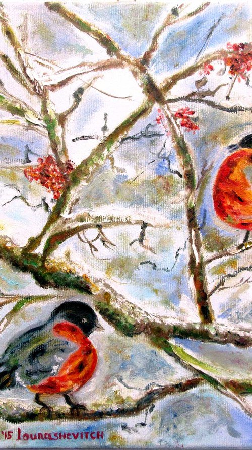 Robins in the winter by Katia Ricci