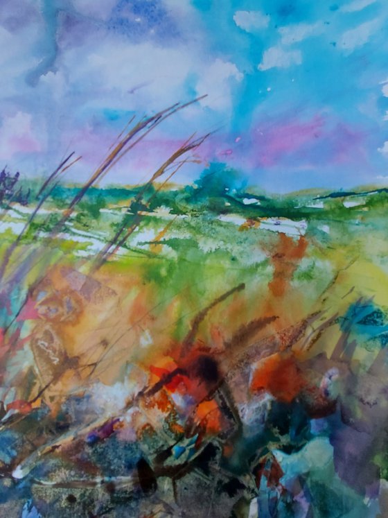 West Cork landscape