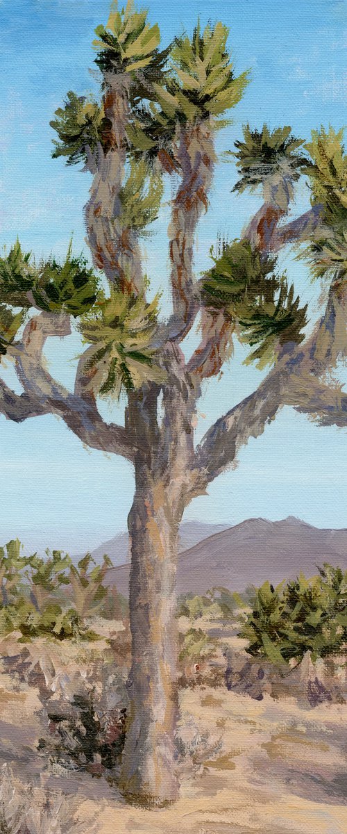The Joshua Tree by Steph Moraca