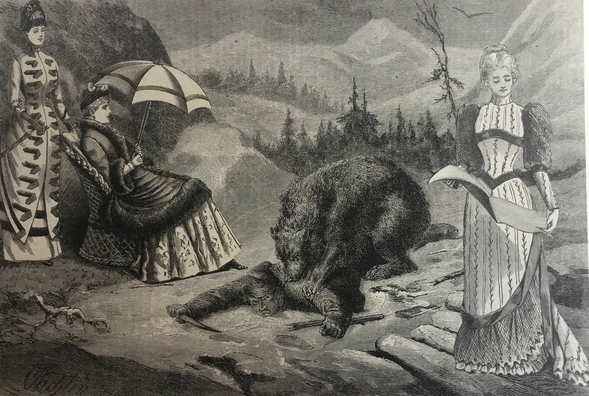 Bear Food by Tudor Evans