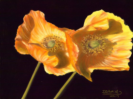 ,, Poppy'' pastel on paper