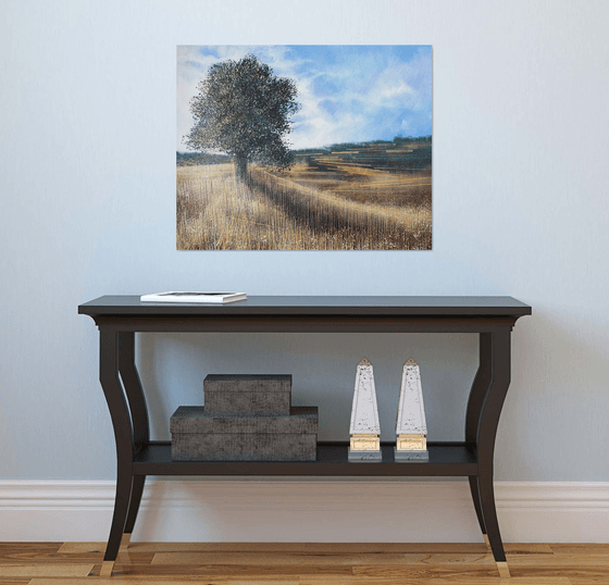 Meadow In Late Summer