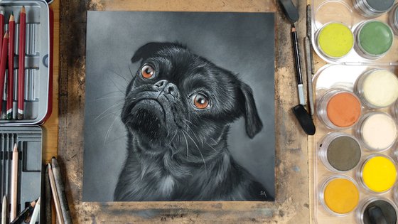 Pug Portrait (Original Painting)