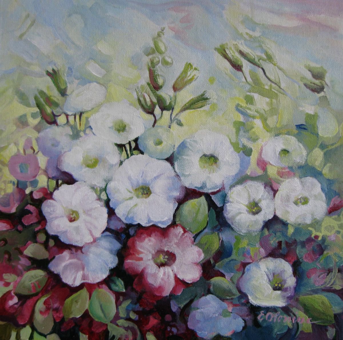 Petunias by Elena Oleniuc