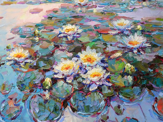 "Evening river with lilies"