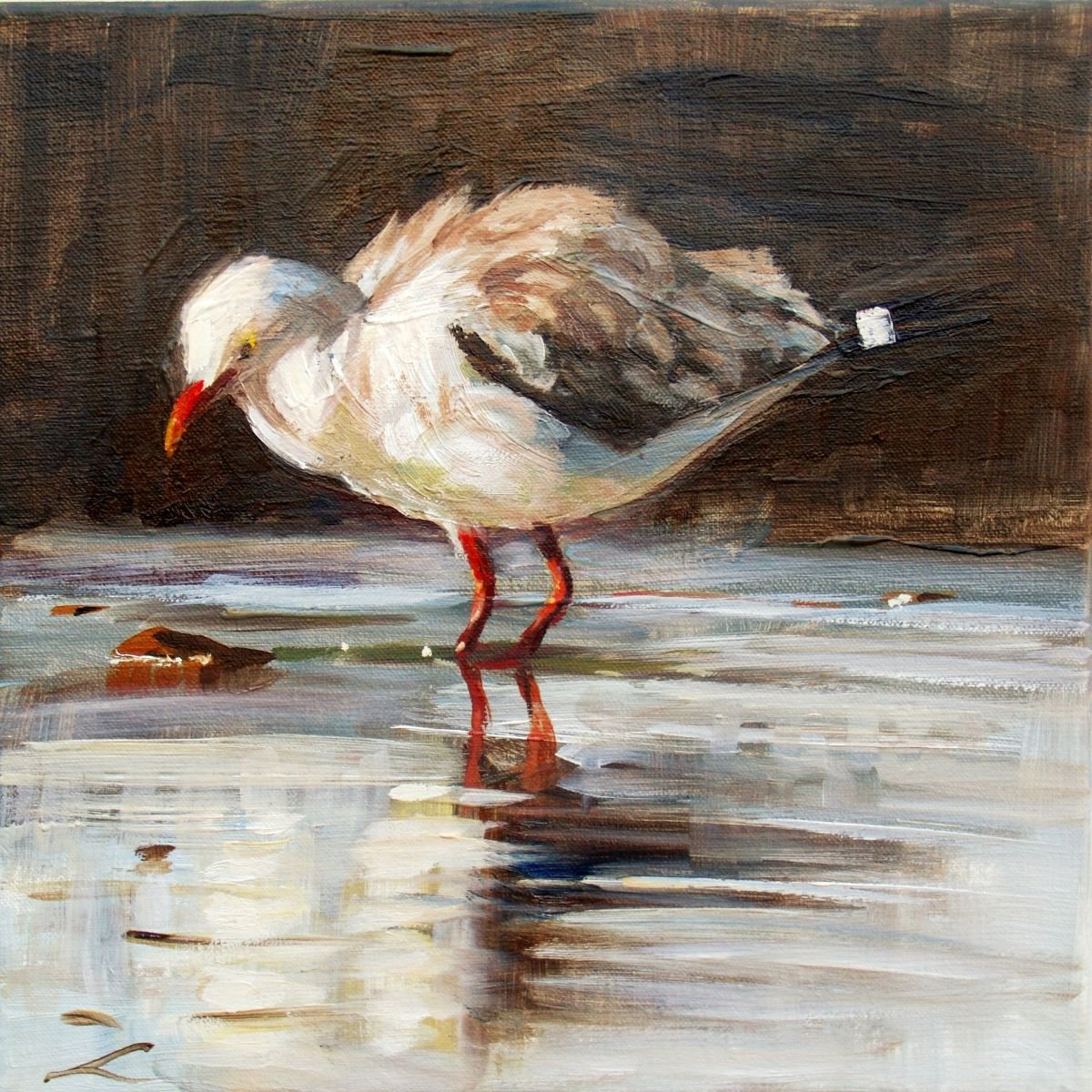 Impressionistic Animal Oil Painting By Elena Sokolova, 12 X 12, Jonathan Seagull, Original Artwork
