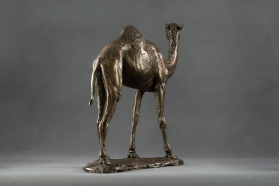 Camel  Bronze Resin sculpture