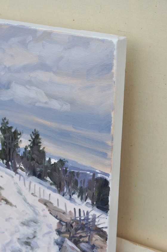 Winter light over the Mézenc