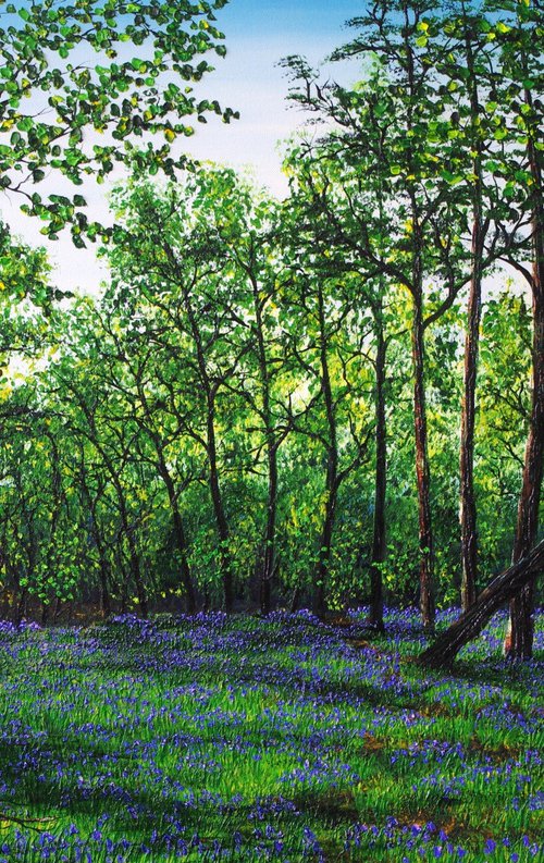 Glorious Spring Walk by Hazel Thomson