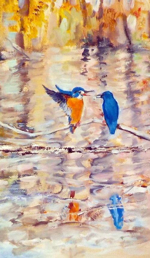 Kingfishers by Chris Walker