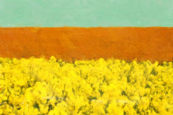 "Yellow fields" canvas gallery art ready to hang