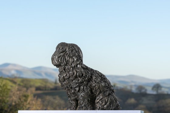 Maltese Terrier Bronze Resin