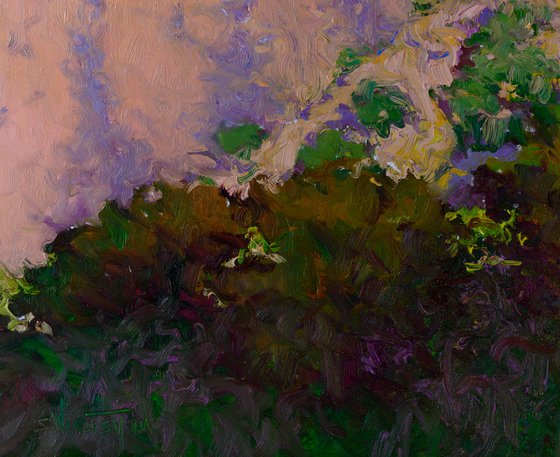 Evening in the Mountains