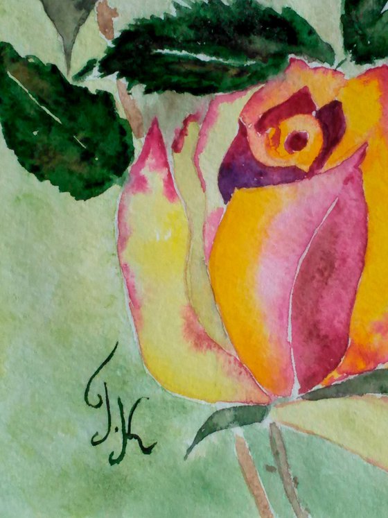 Roses Painting Floral Original Art Flowers Watercolor Artwork Small Wall Art 12 by 17"by Halyna Kirichenko