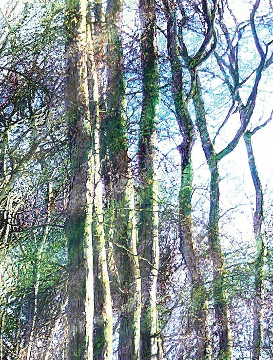 Bosque/XL large original artwork