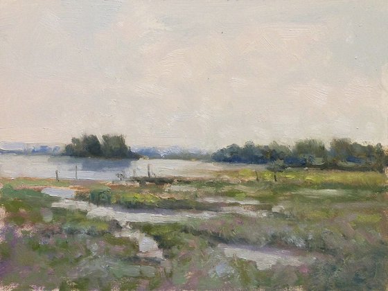 Paysage Camarguais