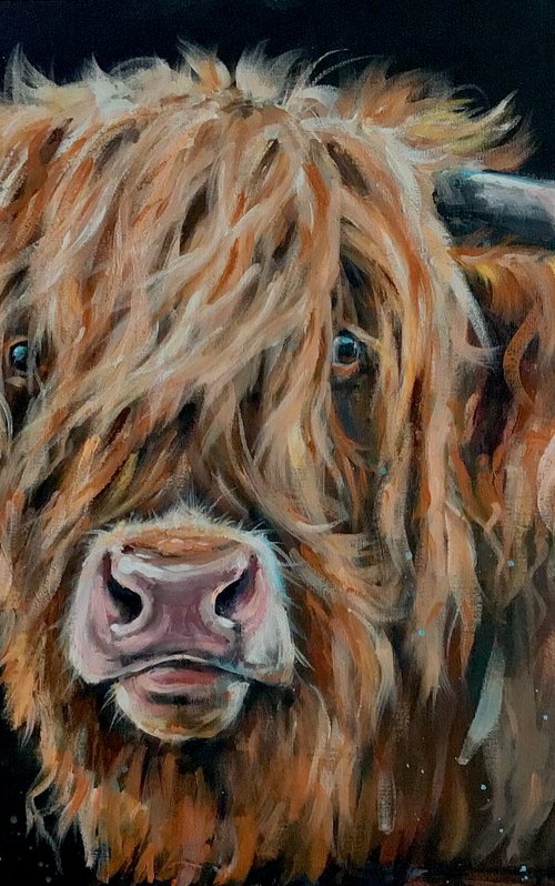 Hamish by Louise Brown