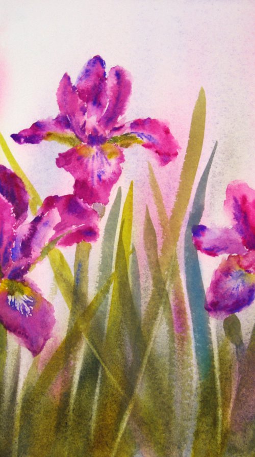 Wild irises by Elena Gaivoronskaia