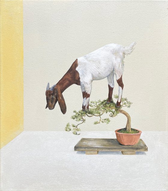 Bonsai Goat II