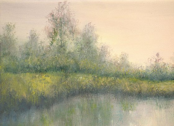 Lily pond