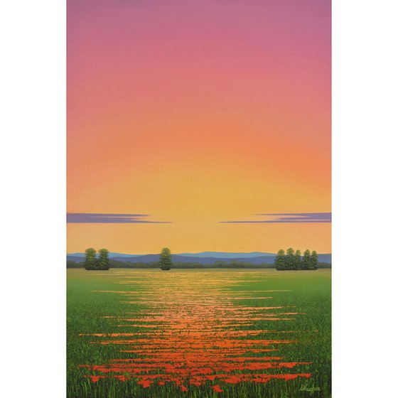 Sunset Poppy Field