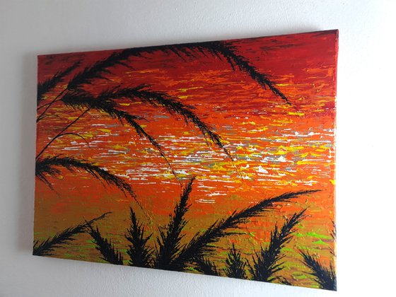 Red Sunset In The Grass