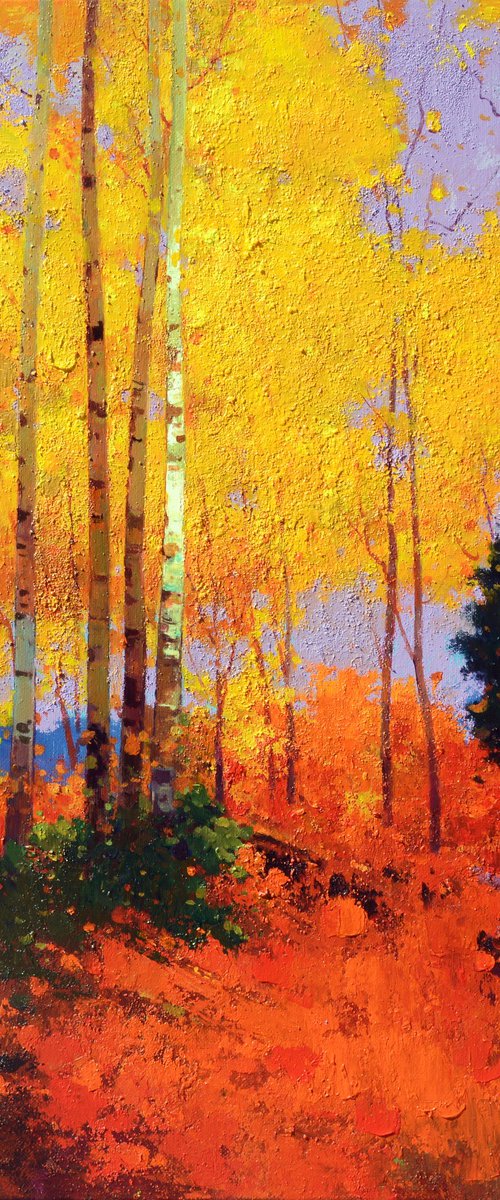 Birch trees forrest 068 by jianzhe chon
