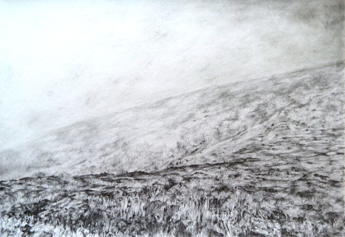 Scottish heather drawing by Richard Freer