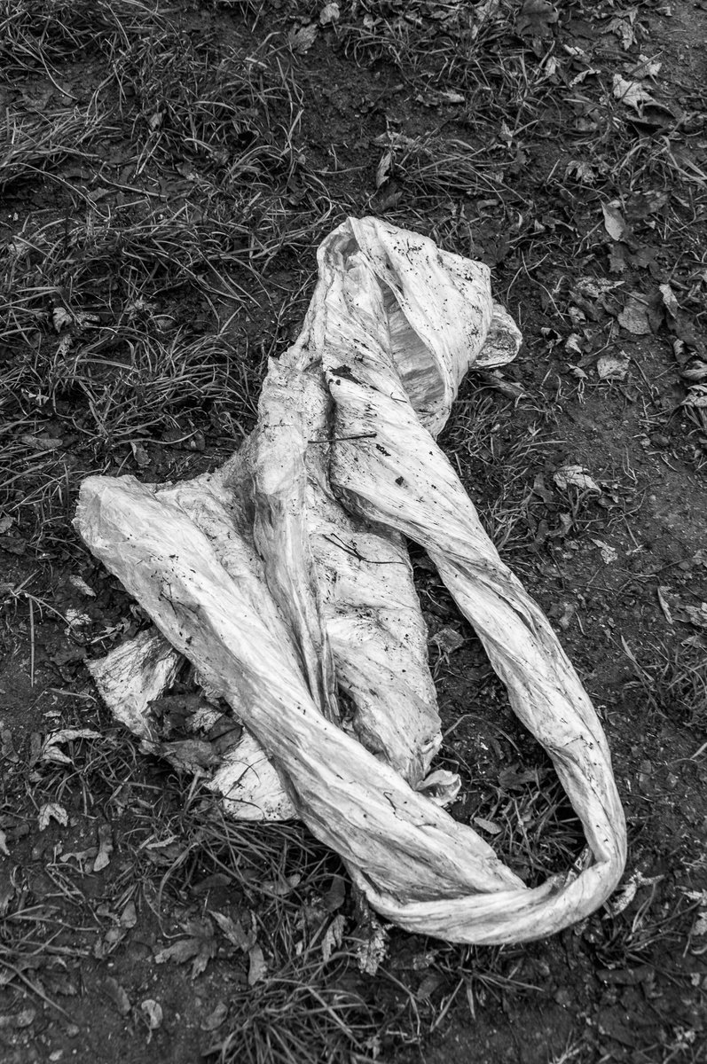 Mummified White Bear (from Death set) by Adam Mazek