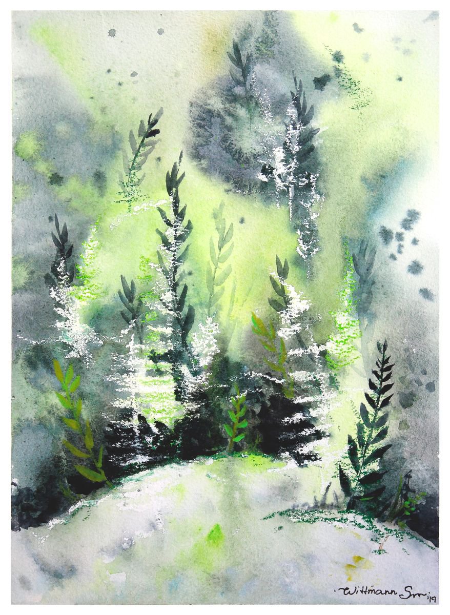 Mystical green ferns. by Svetlana Wittmann