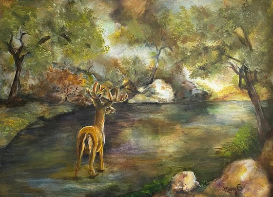 Ashtonishing In the Wild Original Oil Painting 12x16