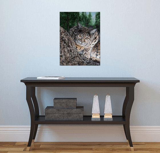 "The Stare Down" - Wildlife - Bobcat - Big Cats