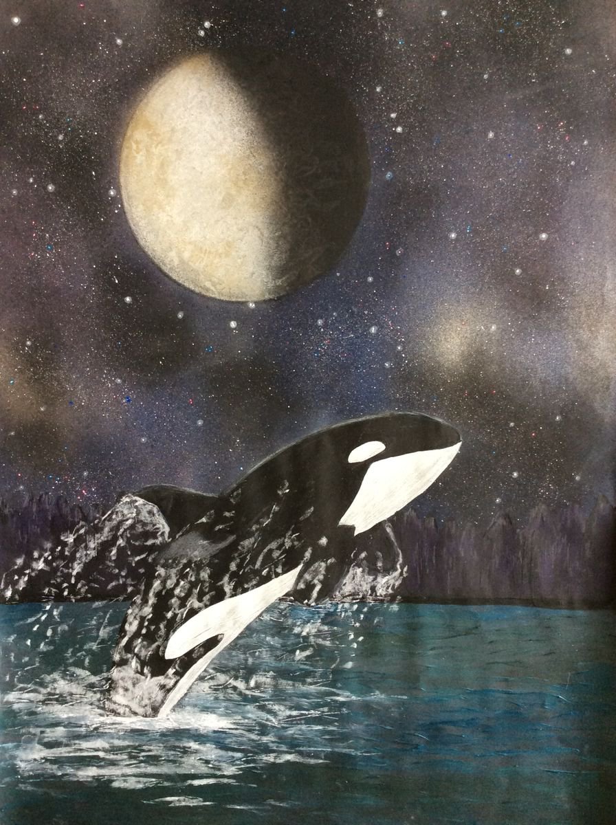 Killer Whale breaching in the moonlight by Ruth Searle