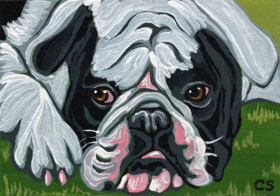 ACEO ATC Original Miniature Painting Olde English Bulldogge Pet Dog Art-Carla Smale