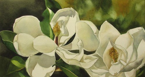 double magnolia by Alfred  Ng