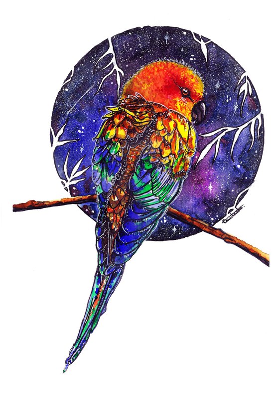 Parrot and stars