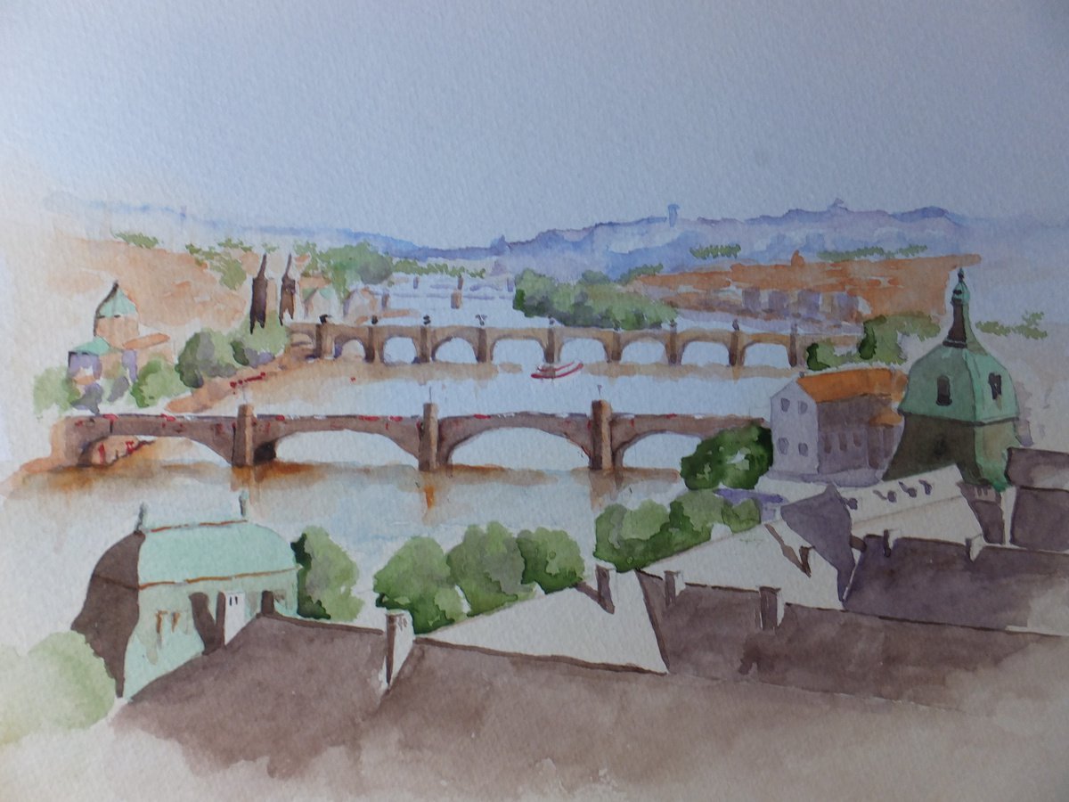 The Bridges of Prague by David Harmer
