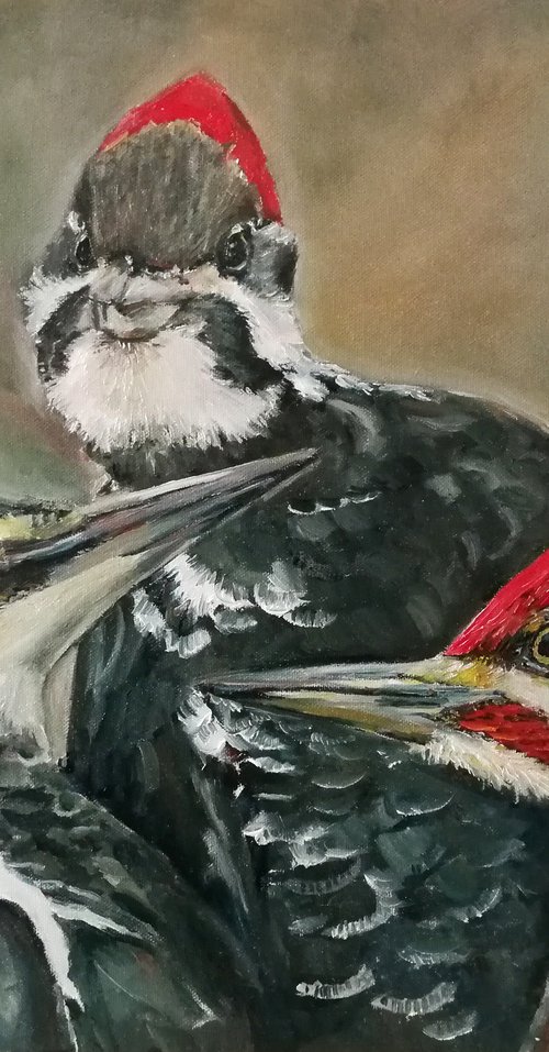 Family Portrait Of Woodpeckers by Jura Kuba Art