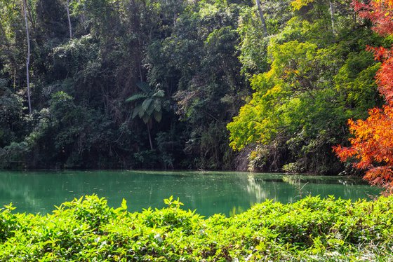 Hidden Lake