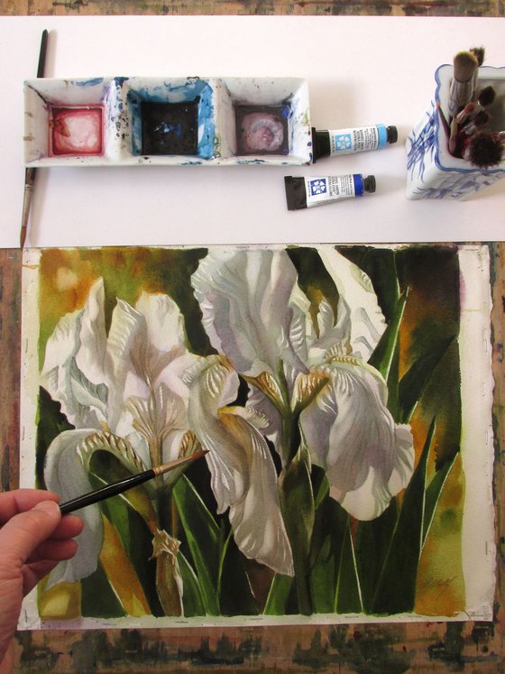 Double white irises