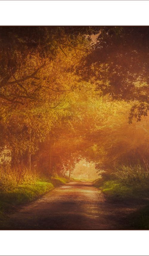 Under the Arch by Martin  Fry