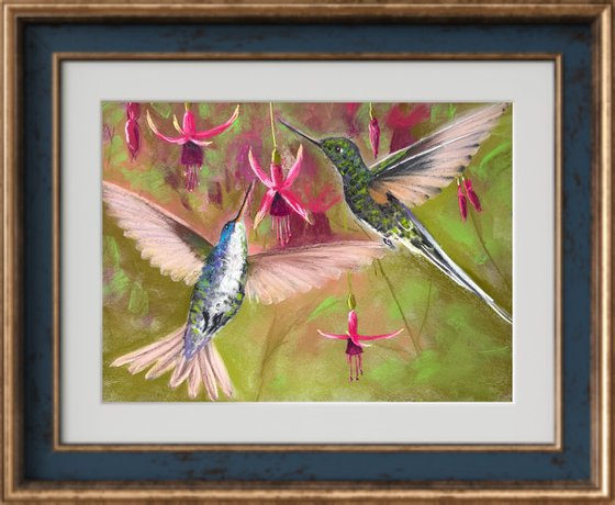 Colibri in flight. Flying